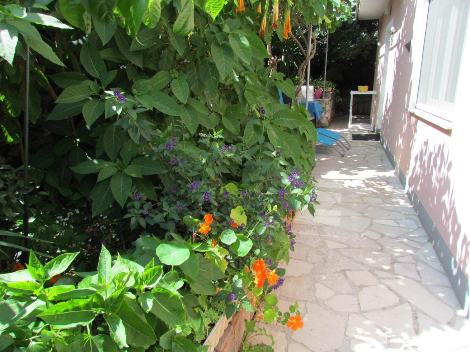 Apartments Bura & Jugo, Cres, Without Stress المظهر الخارجي الصورة
